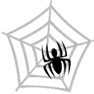 spider-web-sm