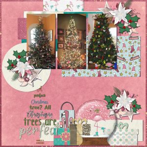 2017-christmas-trees-600-2
