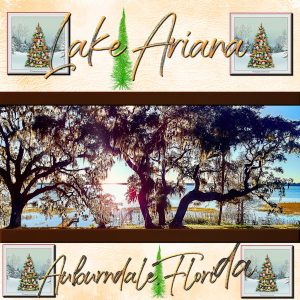 lakearianaauburndalefloridachristmas-600