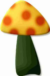 mushroom-02