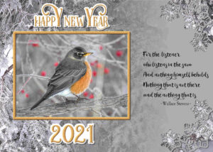 new-year-robin-snow-quote