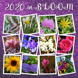 2020-in-bloom-600