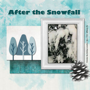 after-the-snowfall_600