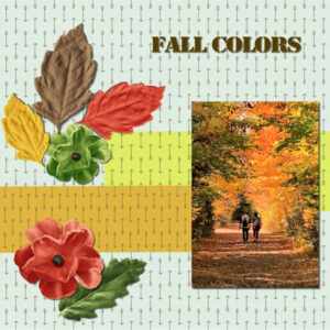 fall-colors-600