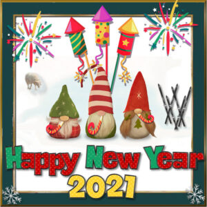 gnome-new-years-2021_scaled-2