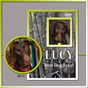 lucy-2009-2013sm