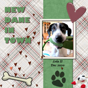 new-dane-in-town_600-2