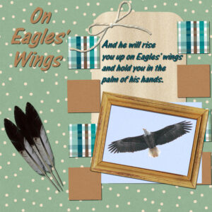 eagle-feather-600