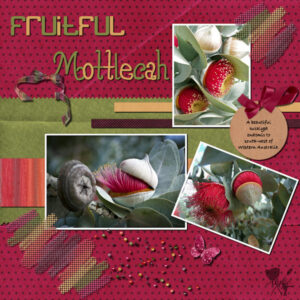 fruitful-mottlecah-600