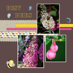 les-4-busy-bees-2