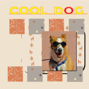 project-5-cool-dog