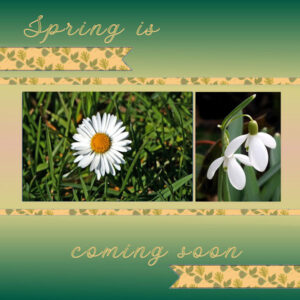 spring_w