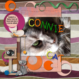 conniecat