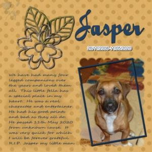 jasper-resized