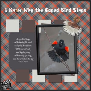 concentration-red-winged-blackbird-lesson-5