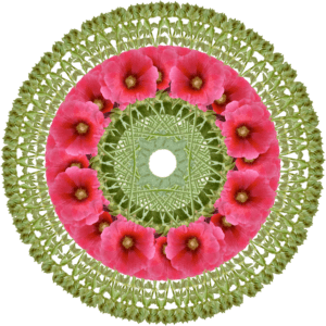 mandala-pink-poppy-2-sm