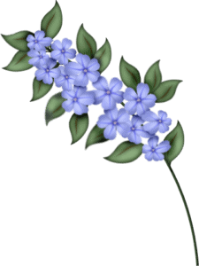 sgh-blue-blossom-spray-31-03-2021