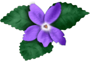 violet-2-sgh-28-05-2013