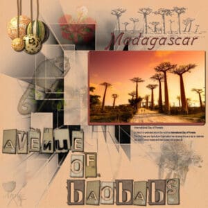 avenue-of-baobabs-madagascar-resized
