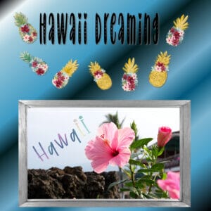 hawaii-dreaming-s-2