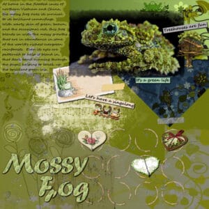 mossy-frog-resized