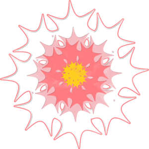 star-flower-sm