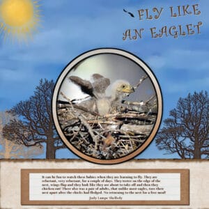 fly-like-an-eaglett-scaled-2