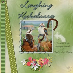 laughingkookaburra-resized