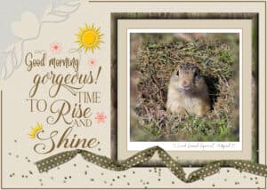 quote-ground-squirrel-rise-and-shine-1