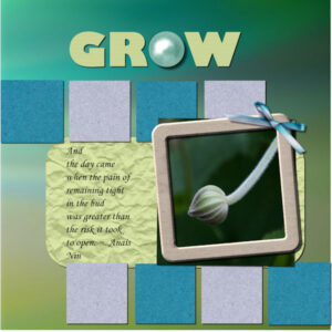 grow-project-5-600-2