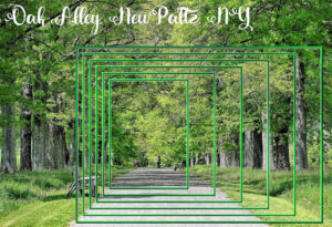 oak-alley-may-frames-challenge_scaled
