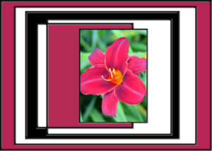 flower-nested-frames2-sm