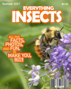 magazine-cover-bee-2