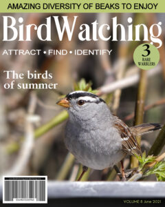 magazine-cover-birds