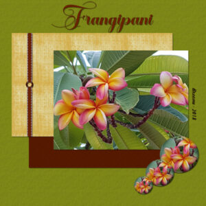 day-5-frangipani-green600