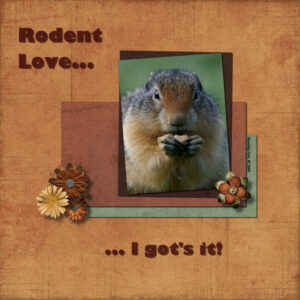 day-5-project-2-rodent-love-600-2