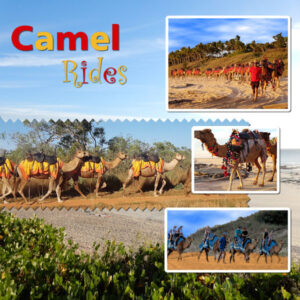 day-9-camel-rides-600
