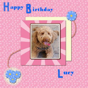 happy-birthday-lucy_600