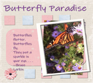 project-4-butterfly-paradise-600