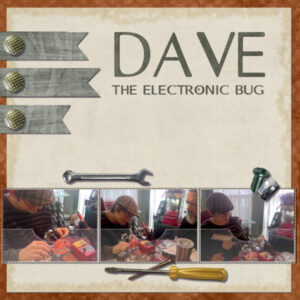 2017-dave-the-bug-600