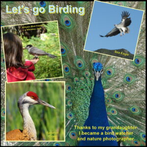 birding-hobby-s