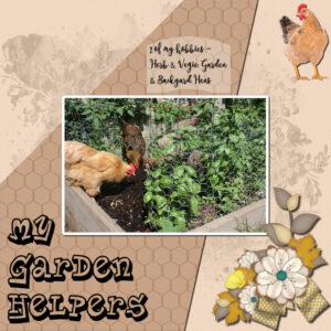 my-garden-helpers-resized
