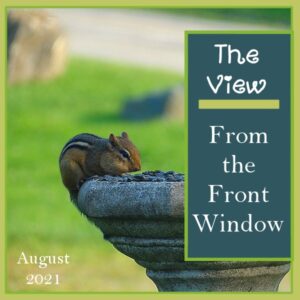 the-view-aug-2021