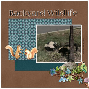 backyard-wildlife-bootcamp-sept-2021_600