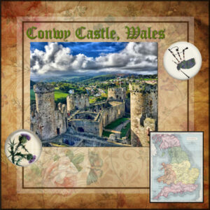 conwy-layout-1-600x600