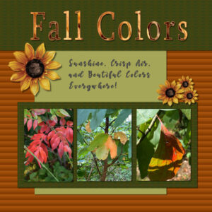 fall-colors-600-3