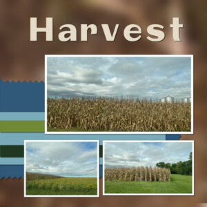 harvest-600