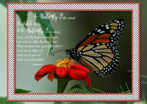 quote-butterfly-frame