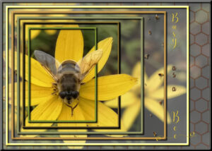 nested-frames-bee-600-2