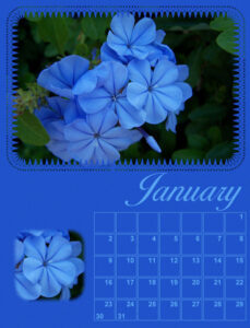calendar-01-2022-january-2022-plumbago-600